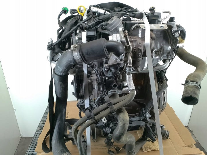 Motor Ford Focus SFJC 1.0 2021 Benzin Engine Unkomplett MOT5242745519ho