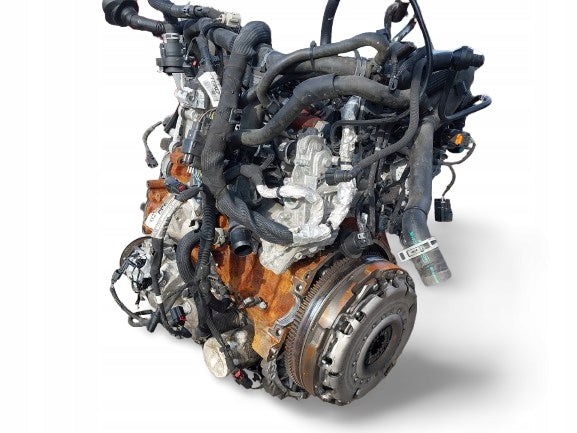 Motor Ford Transit YLF6 YNR6 YMF6 YN2X YN2Q YNF6 2.0 30TKm 2023 Diesel Komplett MOT6895148794yi