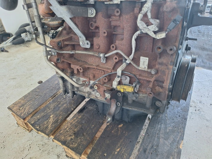 Motor Ford Transit Custom DRFF 2.2 TDCI 100PS 74kW 215TKm Diesel Engine Komplett MOT8072710282xh