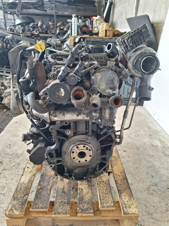 Motor Ford Transit SFJD 2.2 TDCI 125PS 92kW 258TKm Diesel Engine Komplett MOT4548989186kr