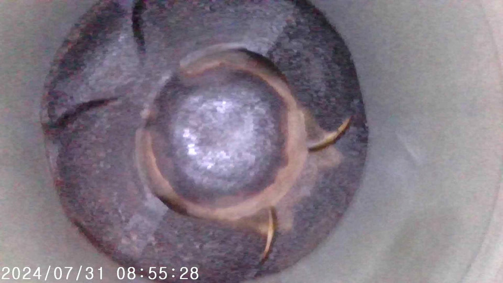 Motor BMW E60 N53B25A 2.5 190PS 140kW 2008 Benzin Engine Unkomplett