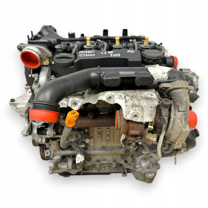 Motor Citroën Berlingo 9H03 1.6 HDI 75PS 55kW 140TKm 2008 Diesel Engine Komplett MOT4118003571uu
