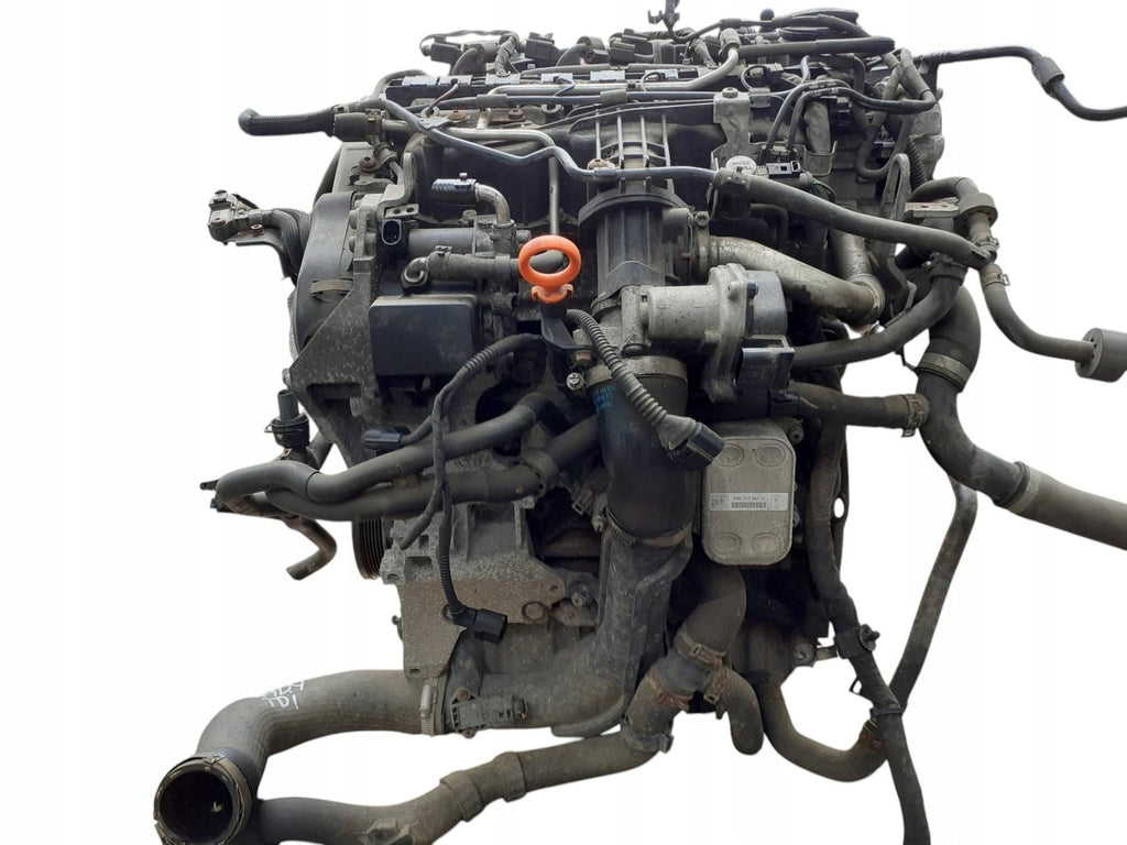 Motor VW Caddy III CAY 1.6 TDI 2013 Diesel Engine Unkomplett