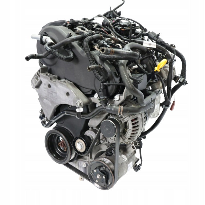 Motor VW Caddy III CAYE 1.6 TDI 75PS 55kW 159TKm Diesel Engine Unkomplett MOT2262860554rk