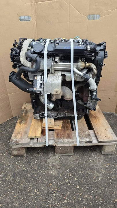 Motor Ford Q4BA 2.2 TDCI 175PS 129kW 128TKm 2008 Engine Komplett MOT3942231263uo