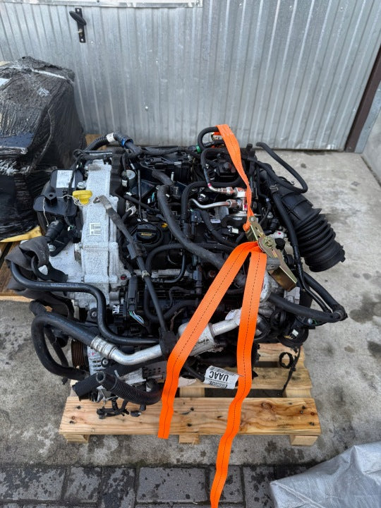 Motor Ford I B7DA B7DB B7DC 1.0 55TKm Benzin Engine Komplett MOT8568002105il