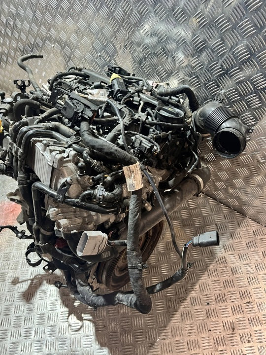 Motor VW Passat B8 DCZ 1.6 TDI 120PS 88kW 81TKm 2019 Engine Komplett MOT6179422759ow