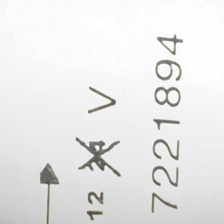 Frontscheinwerfer BMW X5 7221894 Rechts Scheinwerfer Headlight SCH3883720096ab