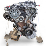 Motor Audi A5 A4 DETA 2.0 TDI 190PS 140kW 119TKm 2020 Diesel Engine Komplett