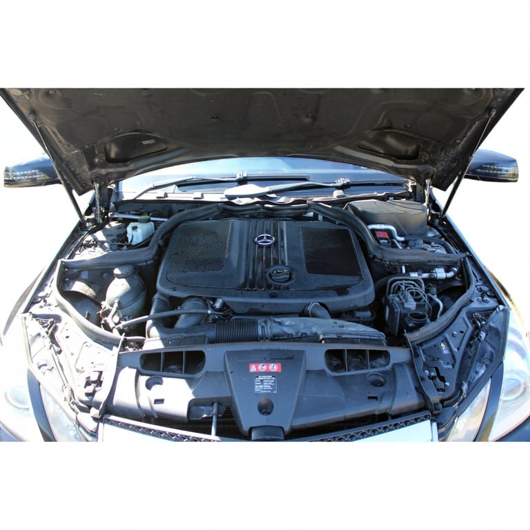 Motor Mercedes-Benz C207 W204 651911 2.2 CDI 167TKm Diesel Engine Unkomplett