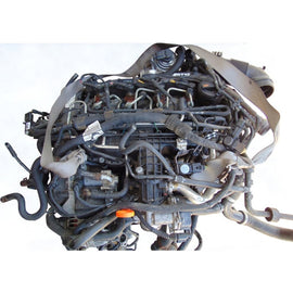 Motor VW Caddy III CAYD CAYE 1.6 TDI 50TKm 2010 Diesel Engine Komplett