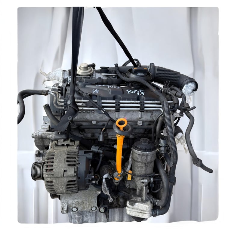 Motor VW Golf V Plus I BXE BLS 1.9 TDI 105PS 77kW 2005 Diesel Engine Komplett MOT2318261752jk