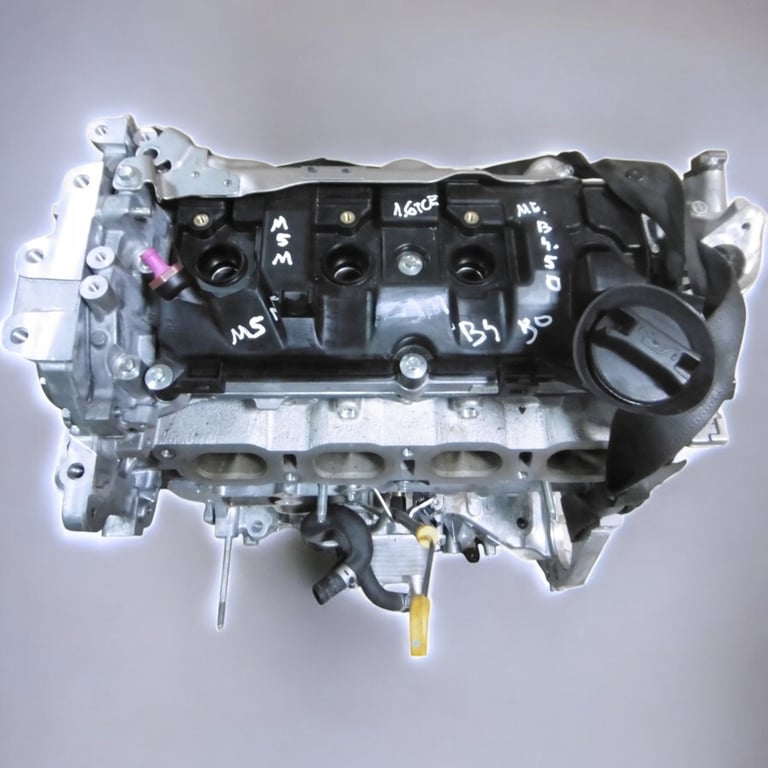 Motor Renault Clio I Talisman M5M450 1.6 TCE 220PS 27TKm Benzin Unkomplett