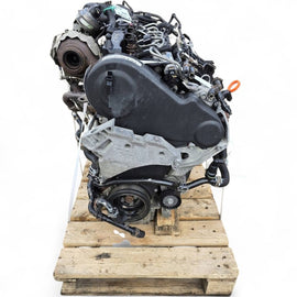 Motor Audi Seat Skoda VW I CAY CAYE 1.6 TDI 128TKm 2012 Diesel Engine Komplett