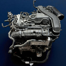 Motor VW Golf VIII DXD 1.5 TSI 150PS 110kW 1TKm 2024 Benzin Engine Komplett