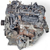 Motor Kia Sportage D4HA 2.0 CRDI 135PS Diesel Engine Unkomplett