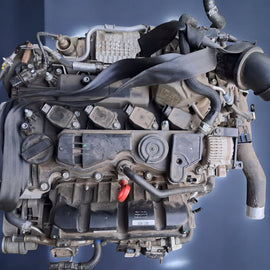 Motor Hyundai Kia Sportage V Nq5 G4FP 1.6 TGDI 20TKm Benzin Engine Komplett